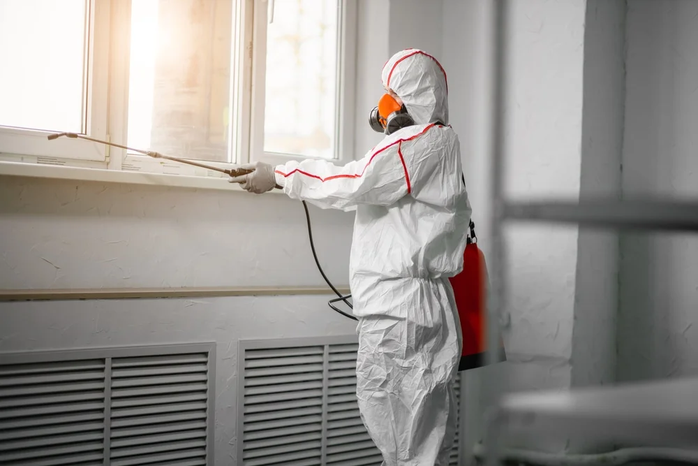 Professional mold remediation services in Runge, TX